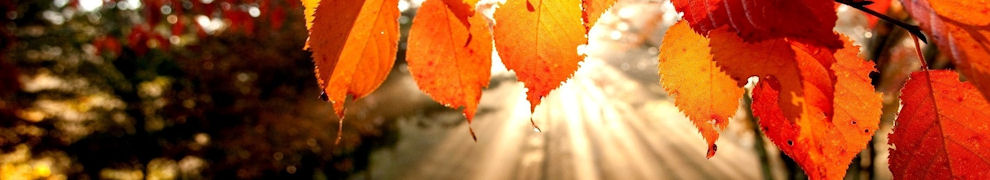 fh_autumn_01.jpg