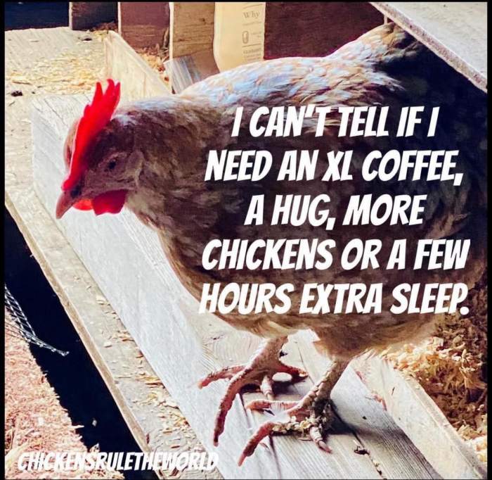 dbc7fdb64b6af16ba497199f01a72fd4ada53b86.jpg?1765521128