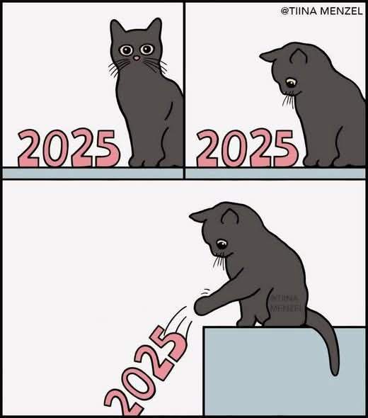 e80653dc78887475b37c0a6e4be939258505fccf.jpg?1767223493