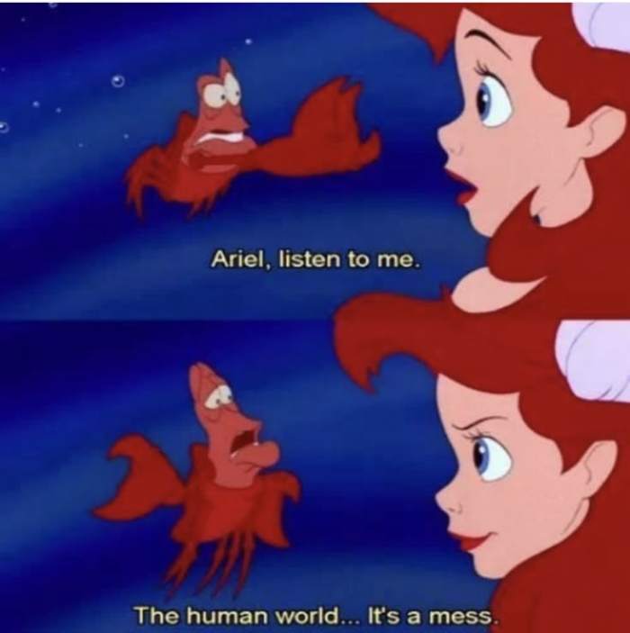 44701804eec0a2cf06d019582a767a0be222810e.jpg?1772519329