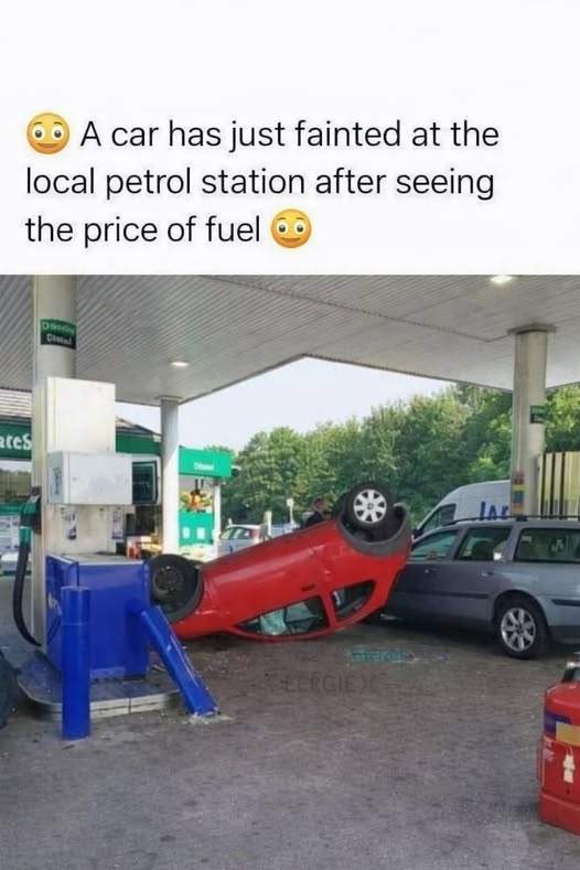 012273c8c7e9b4065f2087757b34e9f079635812.jpg