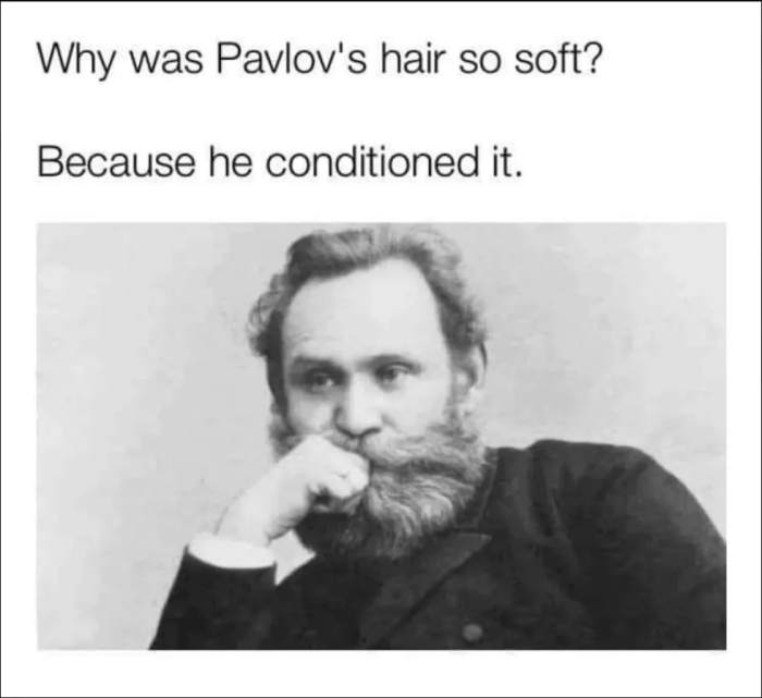 405ff6c6dc441c2a6c52bb162e2ed6980e8ff63d.jpg