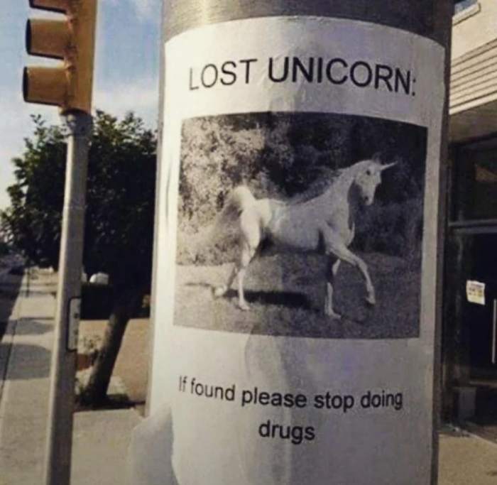 97ffa31df91349c452279983d184279a7938943e.jpg