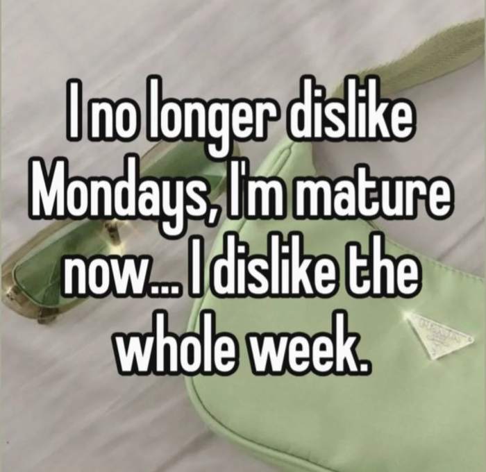 61cf08a17344f7c4cb47f1302ecb3e3eefa73bb0.jpg