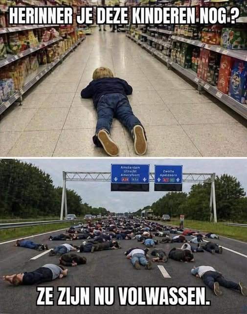 423459cbc9a99a6e194817f237ed056dacee1d13.jpg