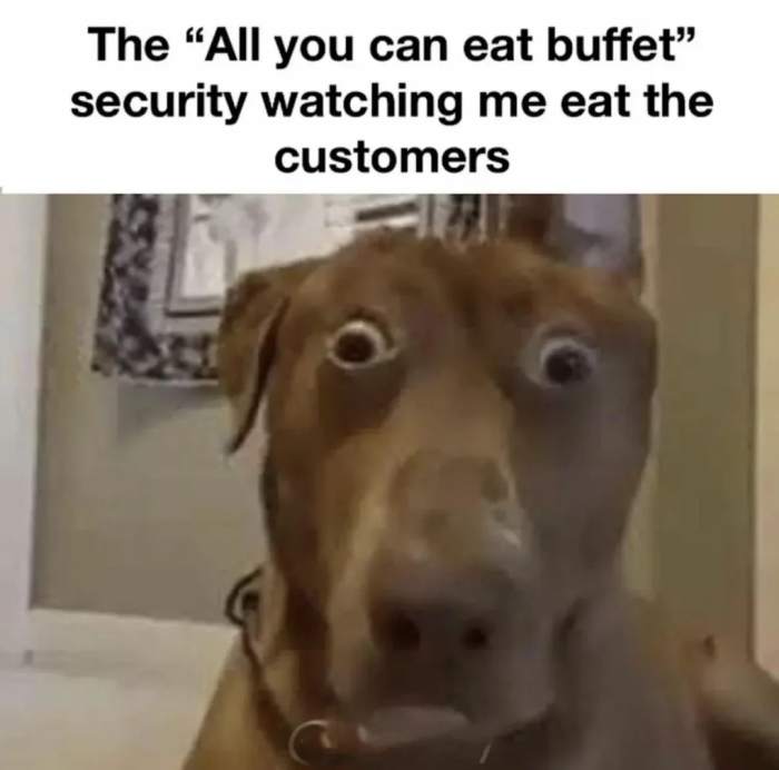 07f12631196d32362a0bdac1dee9d3dbda239b24.jpg