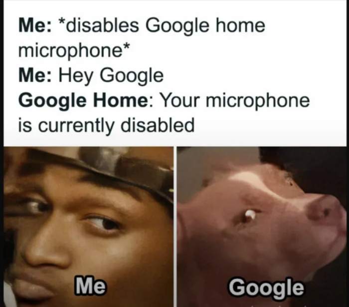 6806b015aaf29af8a74d62dd7e269a6fc89c3676.jpg
