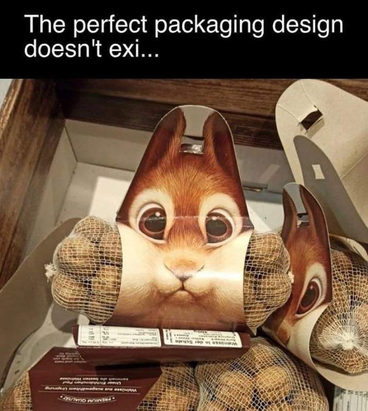 85b20c18df5956802f177df02337ae9921a6f110.jpg