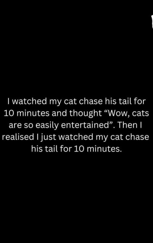 2b4e317395b3987af7674c9ad40c0e38cba27518.jpg