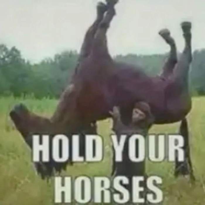 933d20e34df91c14b57e91d136438a0b486b6e01.jpg
